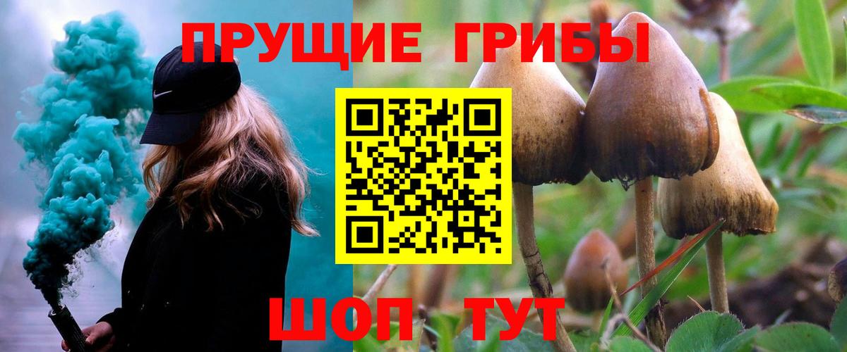 Галлюциногенные грибы мухоморы Минусинск
